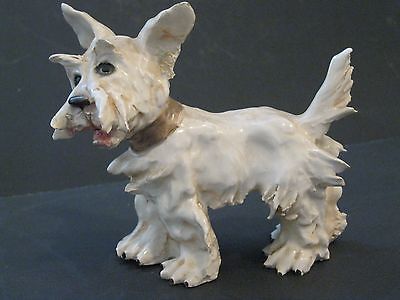 capodimonte dog
