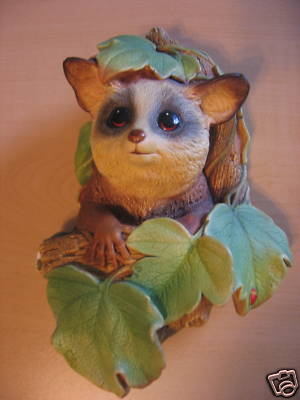 ush babies for sale. bush babies pictures. ush babies for sale.