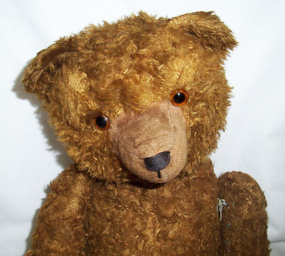 value my steiff bear