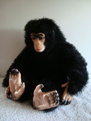 chimpanzee teddy