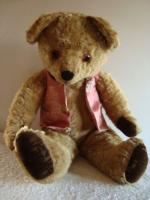 1950's pedigree teddy bear