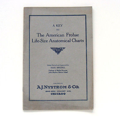 American Frohse Anatomical Charts Key