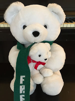 freddy bear the teddy bear