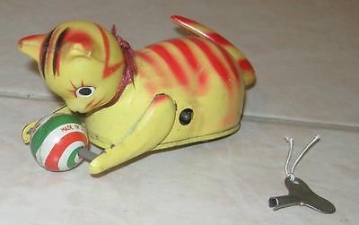 cat chasing toy