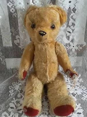 pedigree teddy bear with growler