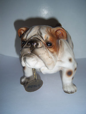 capodimonte dog