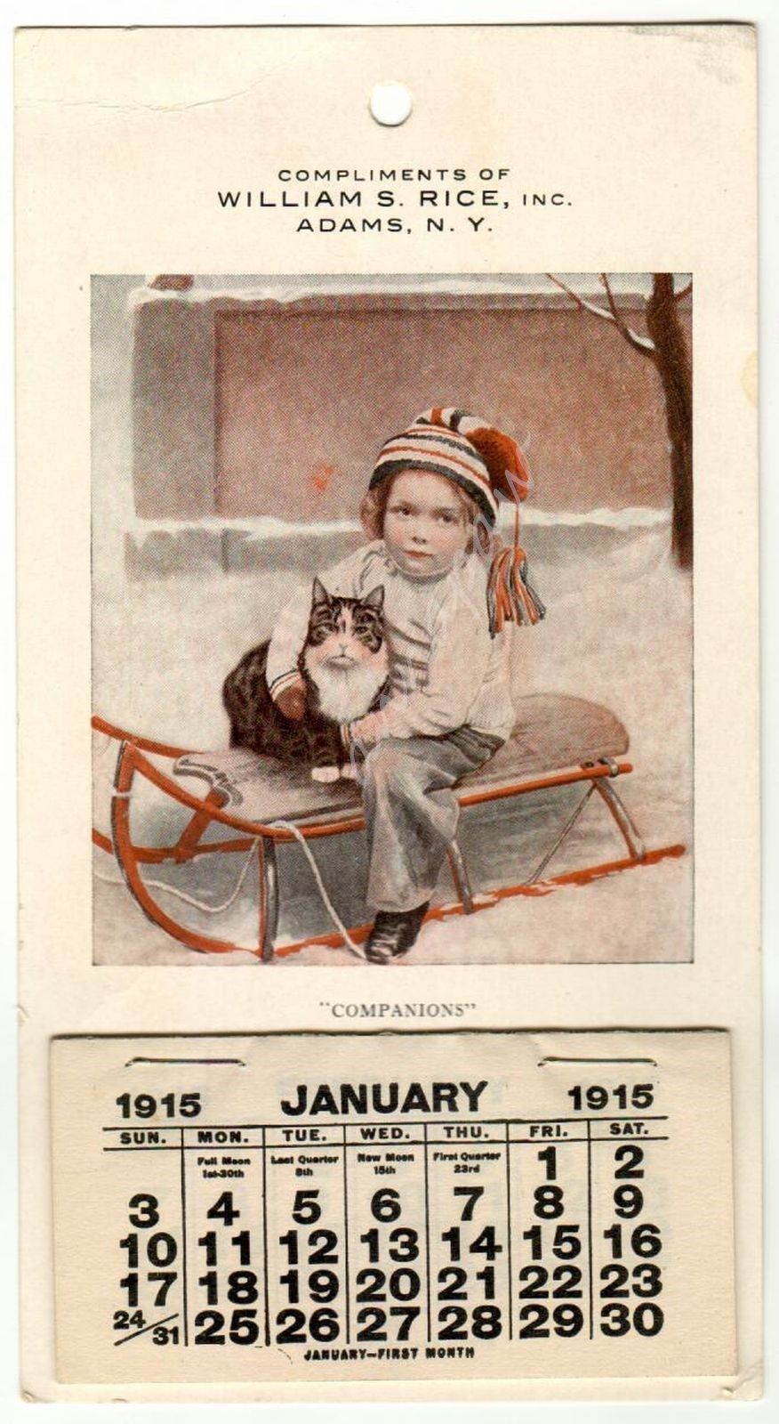 Adams NY William S Rice 1915 Vintage Calendar Child Cat on Sled New