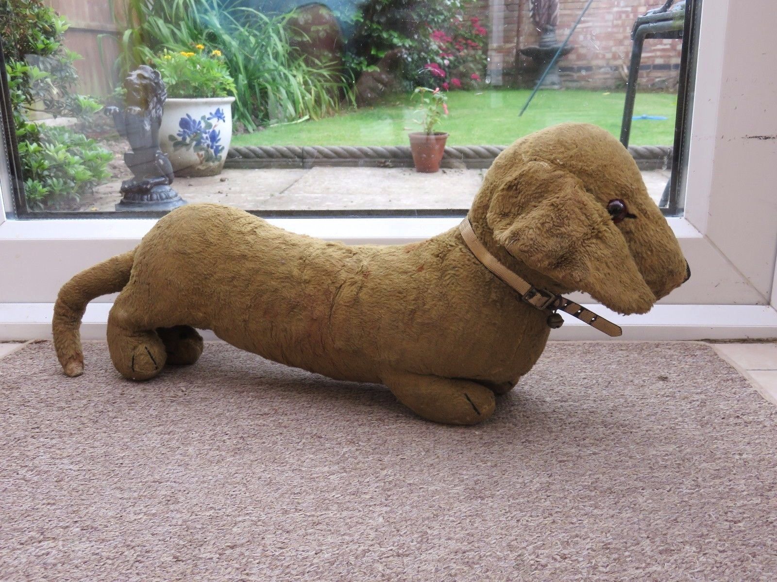 sausage dog teddy