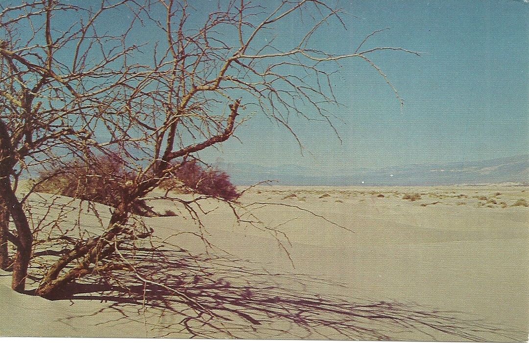 1980 ADVERTISING POSTCARD SEE BACK! BITNER LINCOLN MERCURY, EL CAJON