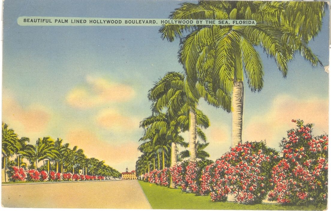 Vintage Florida Linen Postcard Hollywood by the Sea Palm Lined