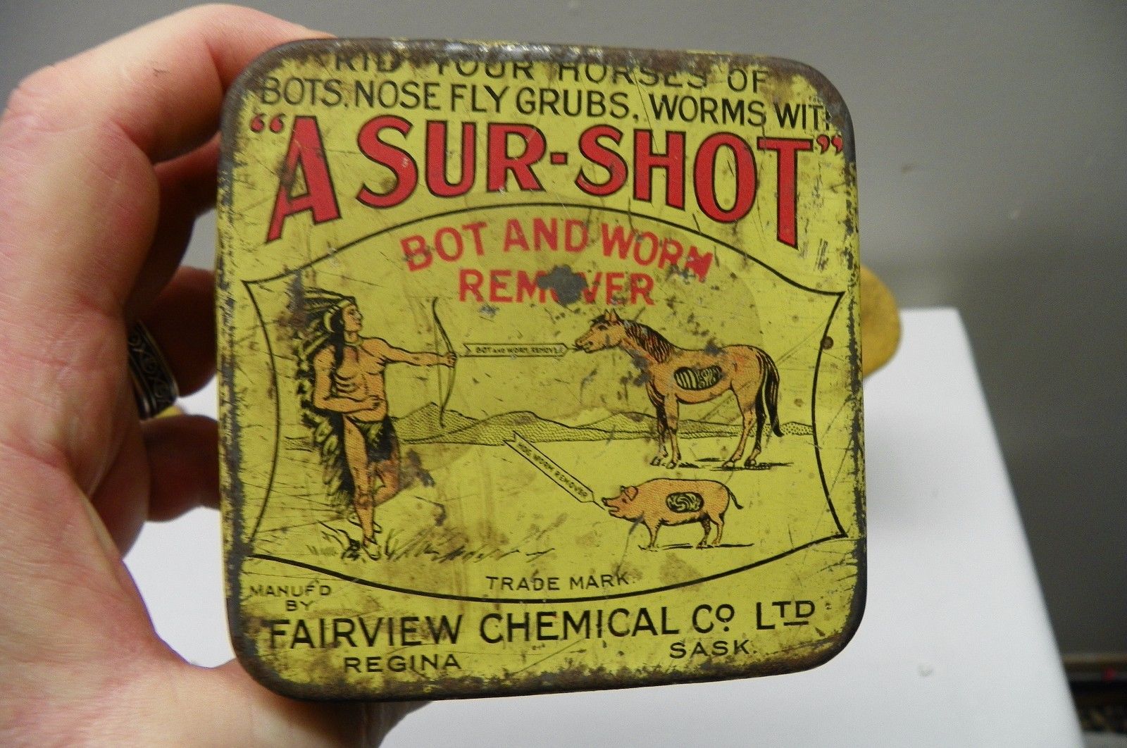 antique VETERINARY TIN regina saskatchewan indian chief horse