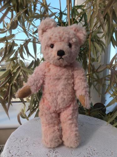 vintage pink teddy bear