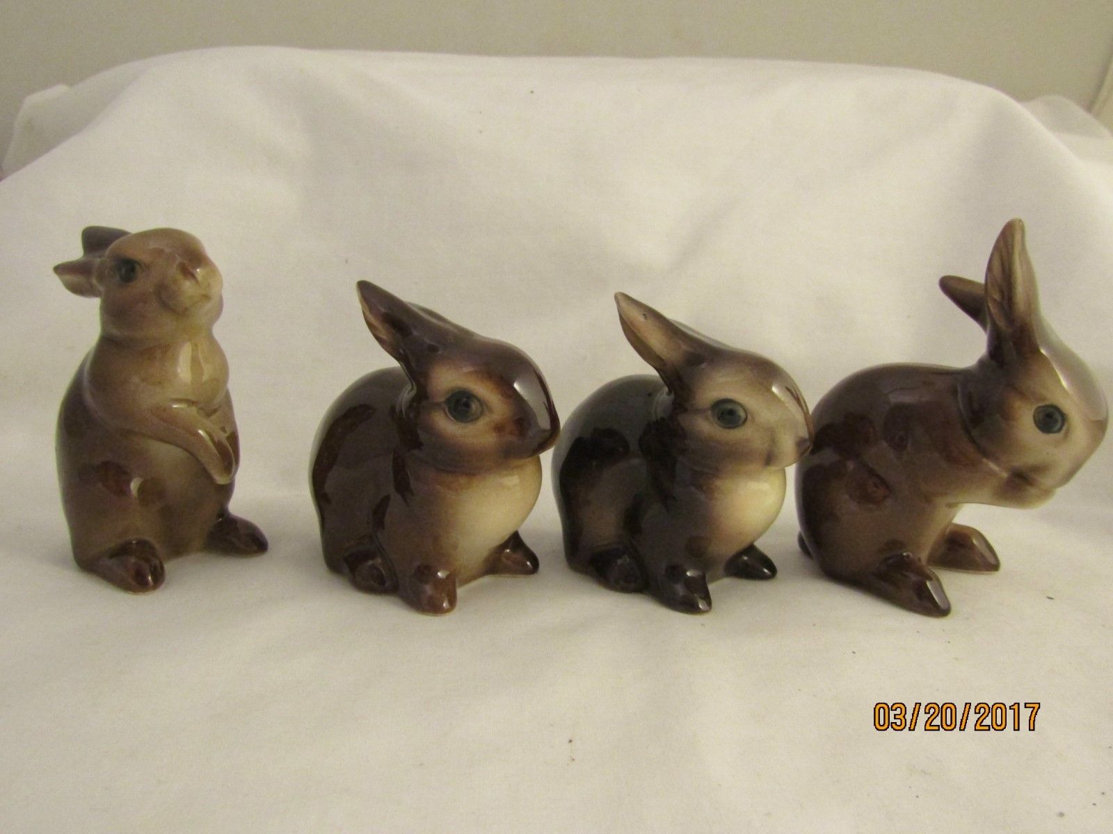 goebel brown bunny