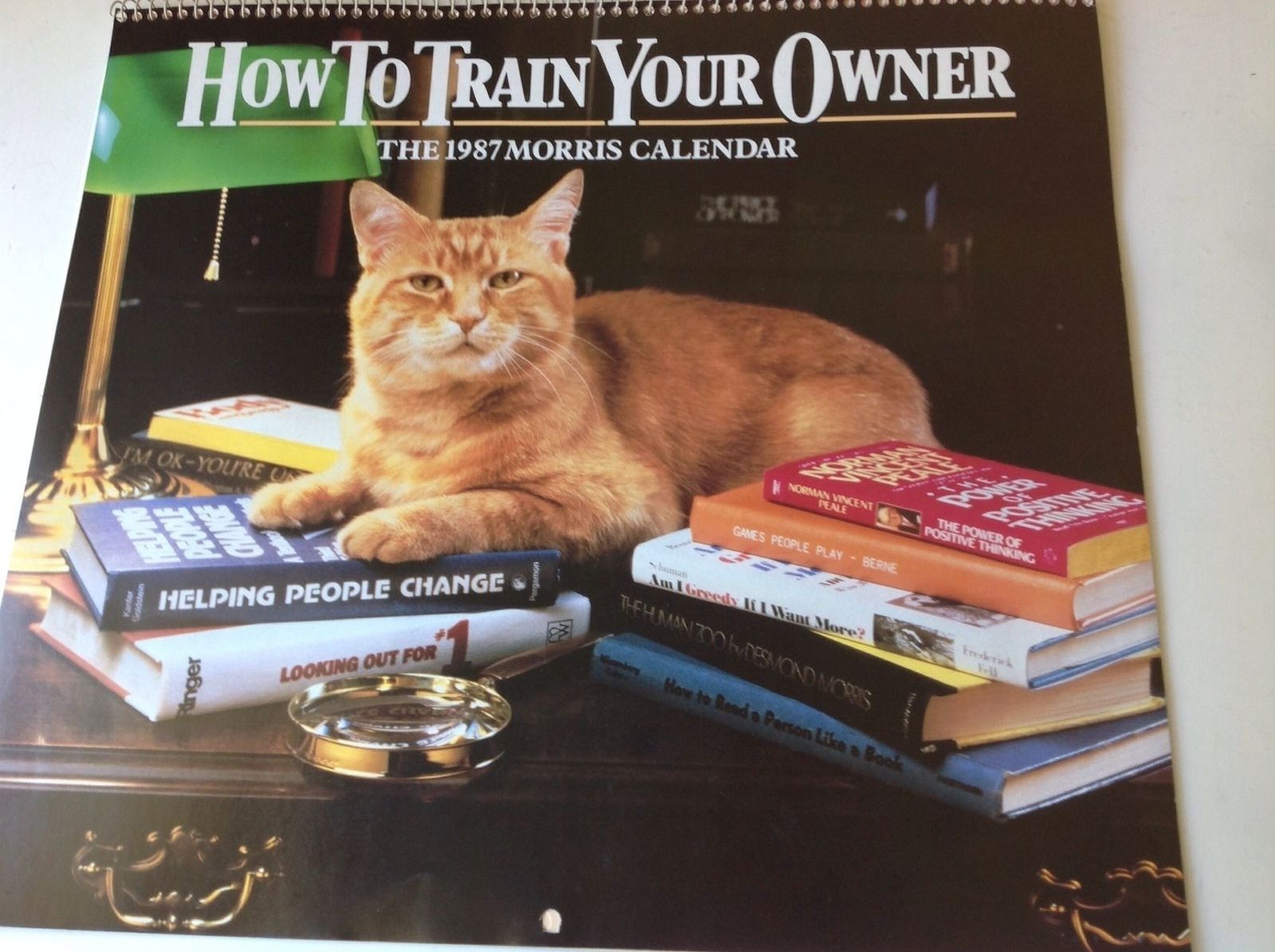 Vintage 1987 MORRIS THE CAT Calendar How To Train Your Owner