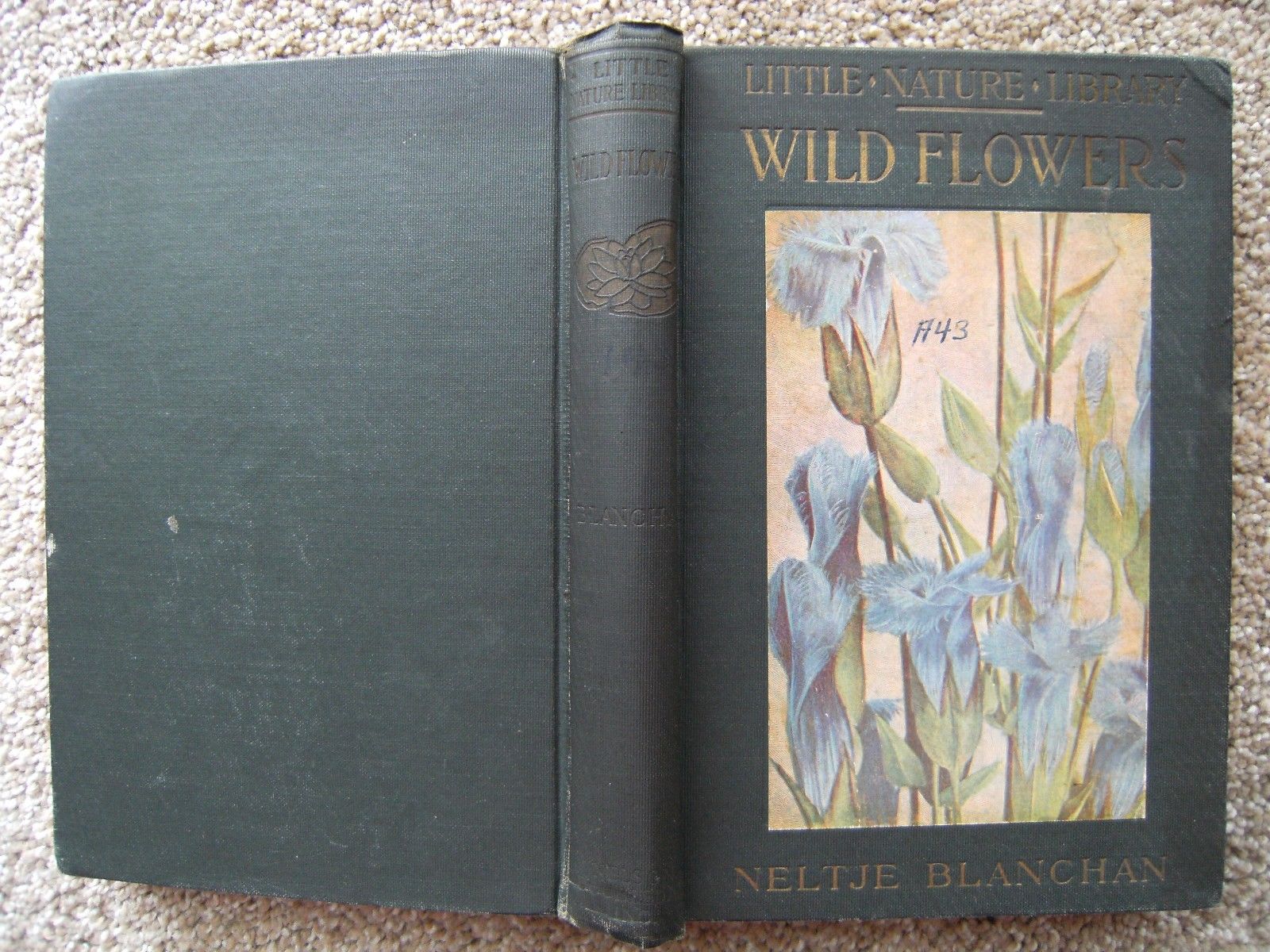 Vintage Little Nature Library Book Wild Flowers Worth Knowing 1923 HC