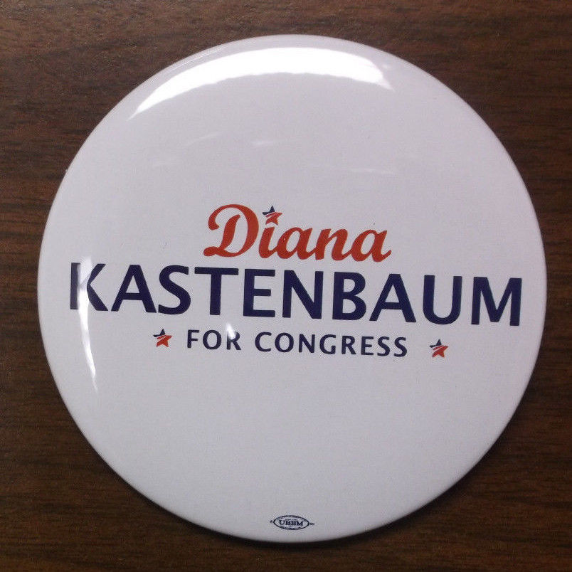 2016 NEW YORK CD27 Democrat DIANA KASTENBAUM for Congress logo Button