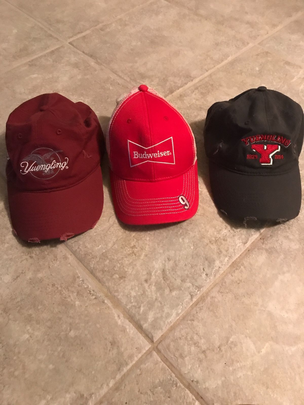 dale jr budweiser hat