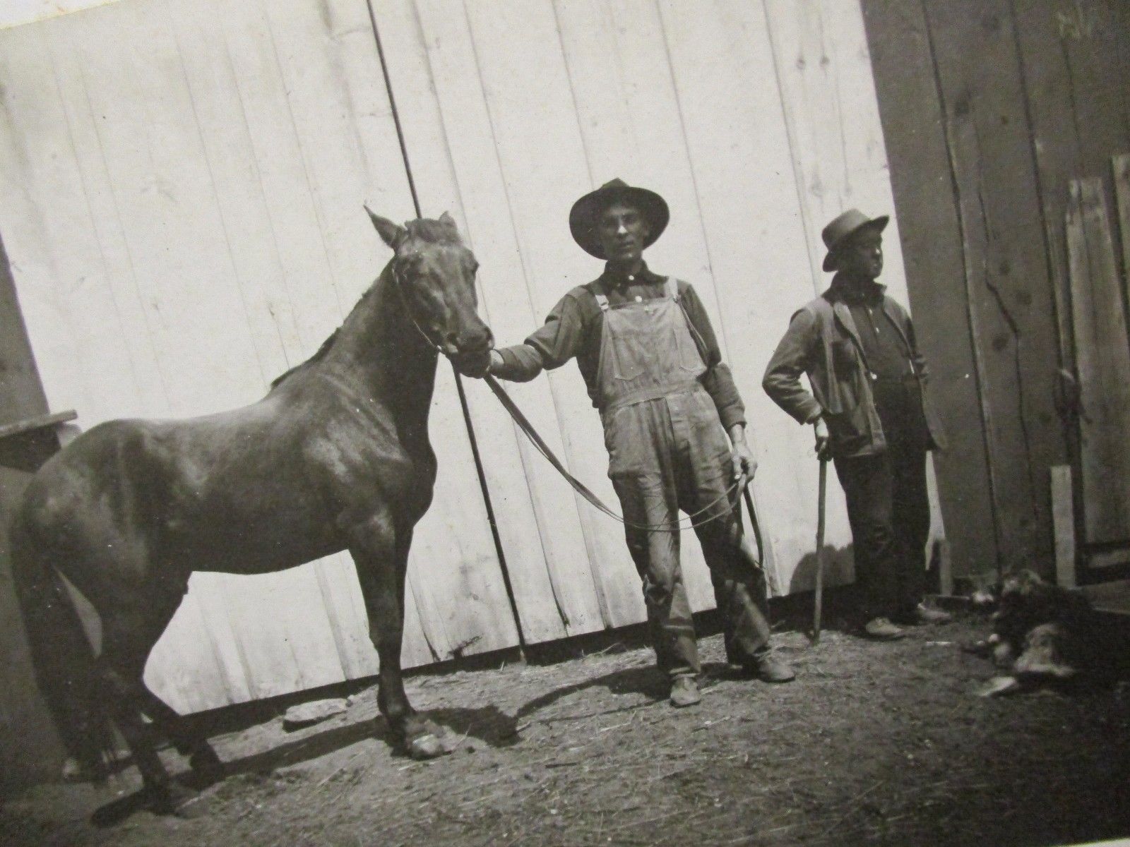 2 man 1 horse