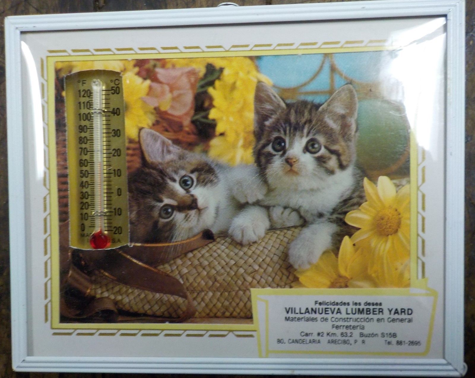 Vintage Advertising Thermometer in Cat Picture Villanueva Lumber Yard