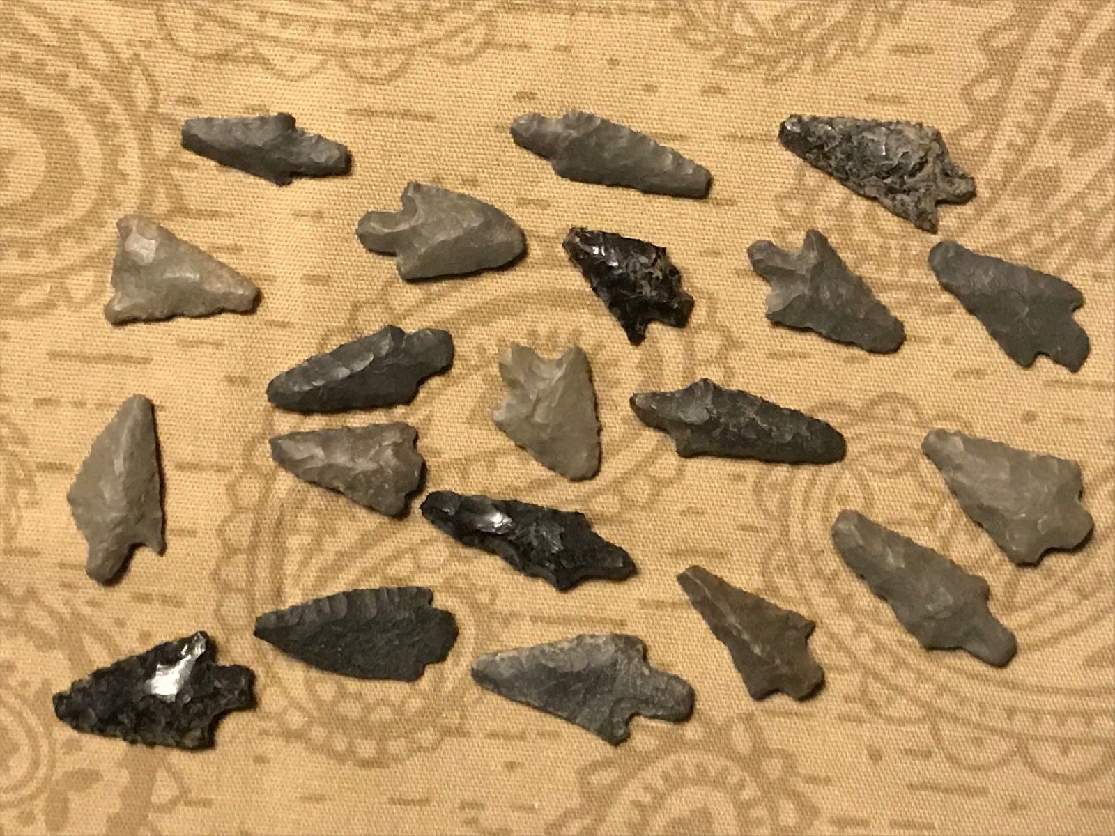 20 Argentine Pre Columbian Indian Arrowheads Authentic Artifacts