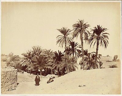 View of Karnak, Egypt. 1870s Antonio Beato albumen photograph ...