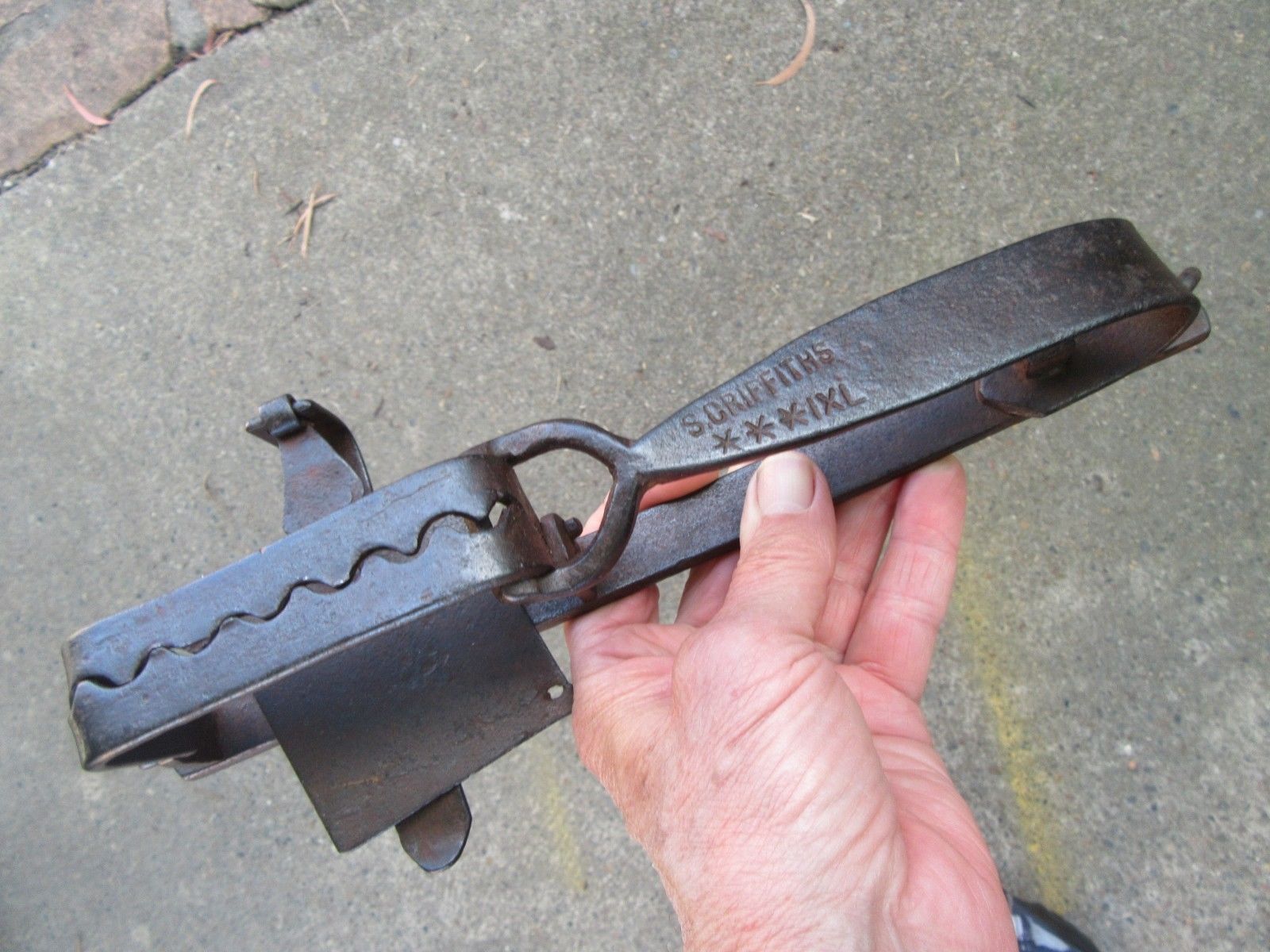 soft jaw rabbit traps