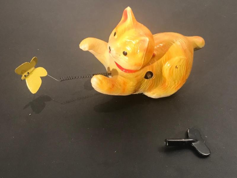 cat chasing toy
