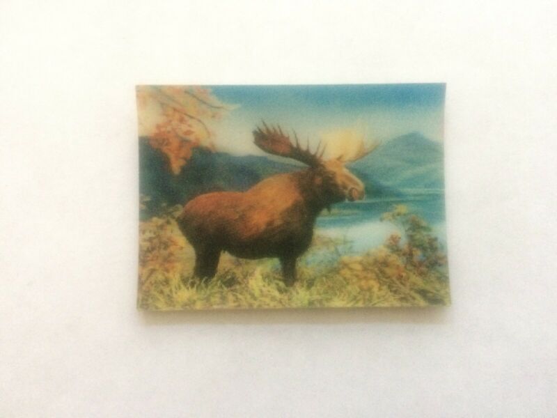Kellogg''s Rare Wild Animal Series 3D Lenticular Card Moose Australia