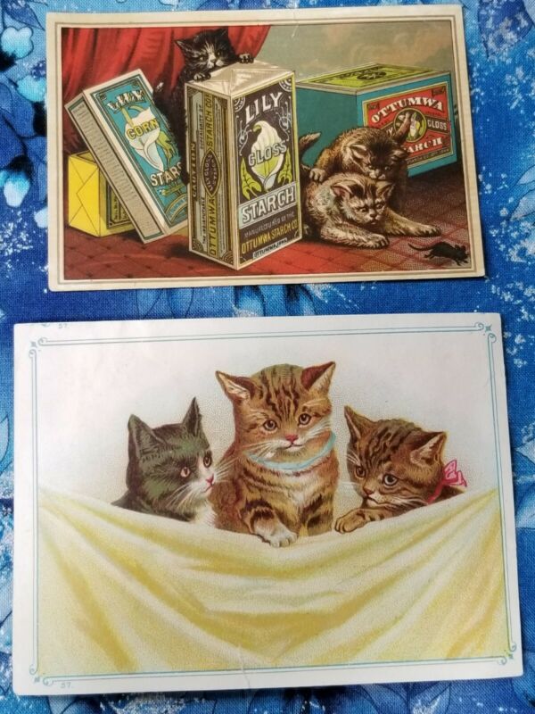 2 Antique Advertising Cards KITTENS CATS Lily Starch / Unrivaled Baking