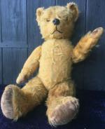 1950's pedigree teddy bear
