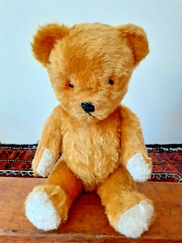1950's pedigree teddy bear