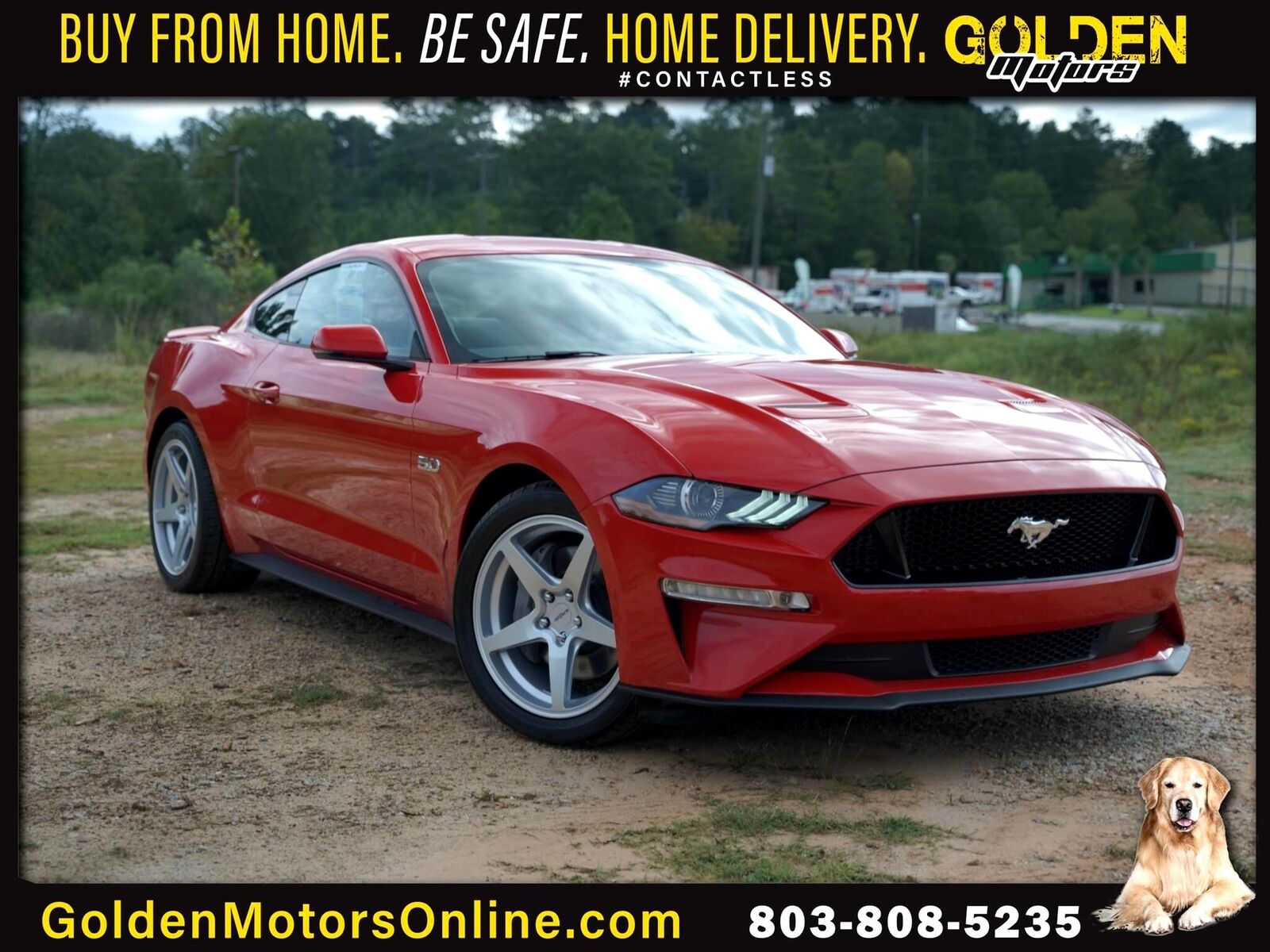 2020 Ford Mustang GT Premium 5.0 Leather Upgrades 2020 Ford Mustang GT