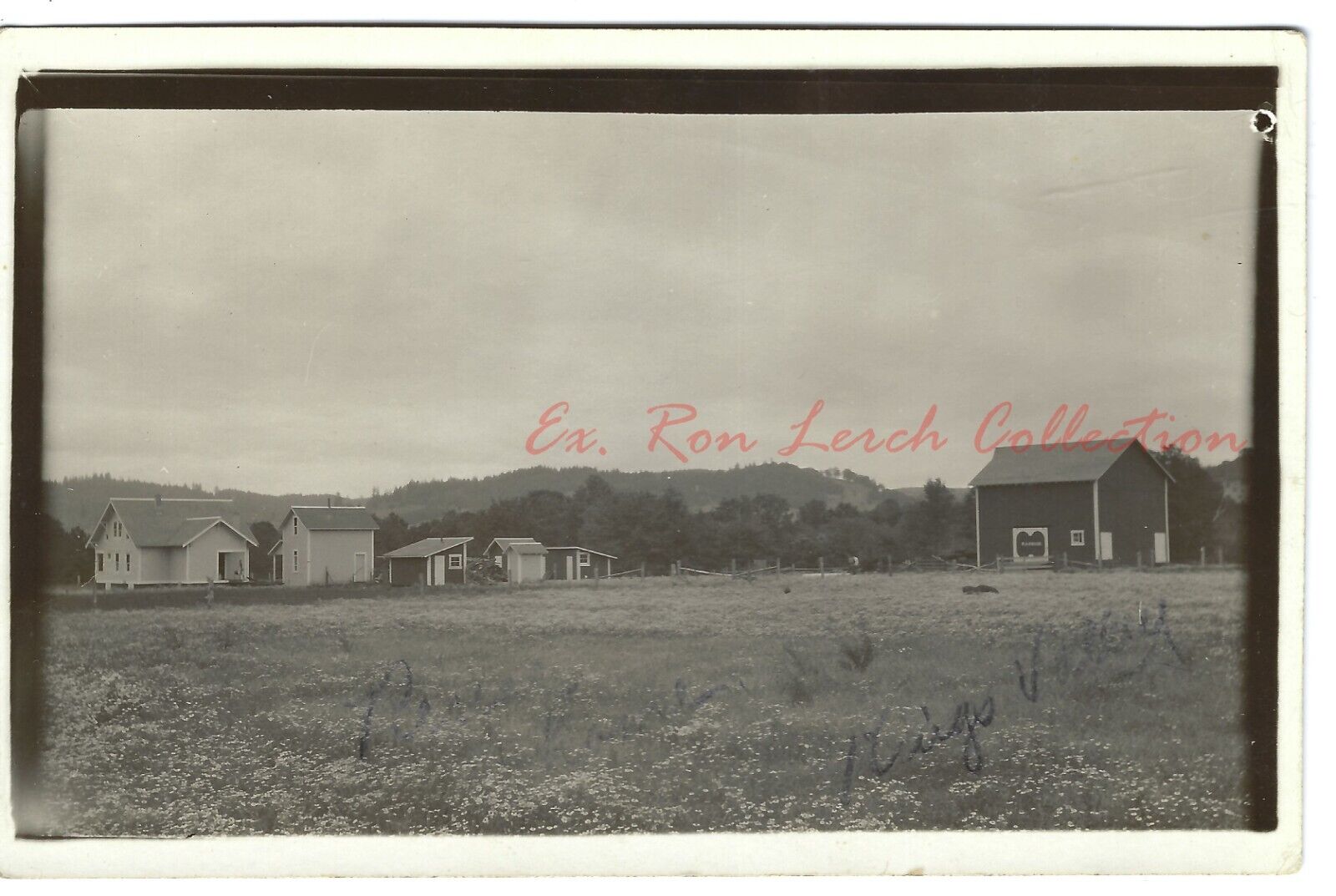RPPC Renas New Home in KINGS VALLEY OREGON c.1910 Benton County