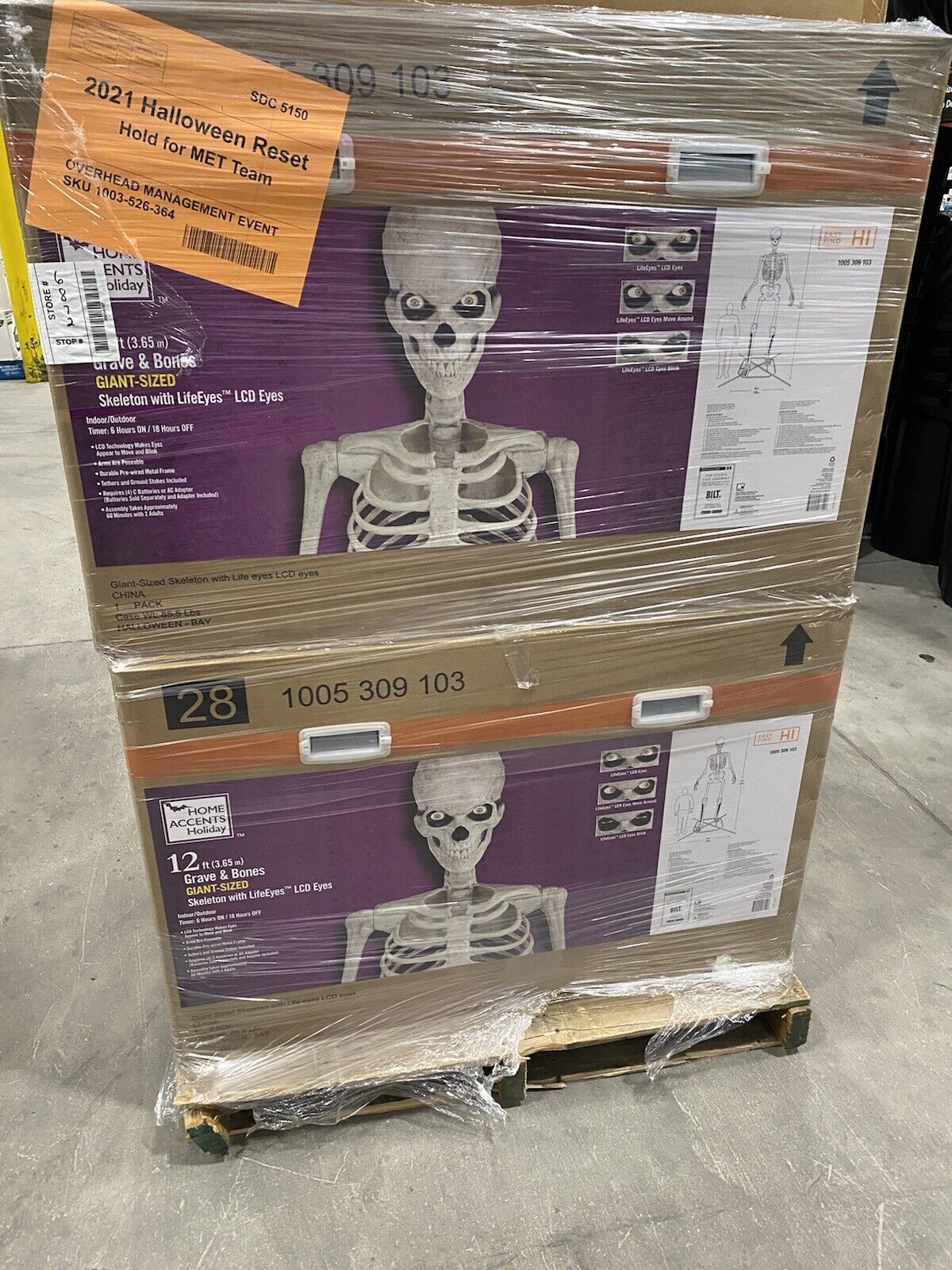 Home Accents 12 FT Foot Giant Skeleton Home Depot Halloween Cleveland