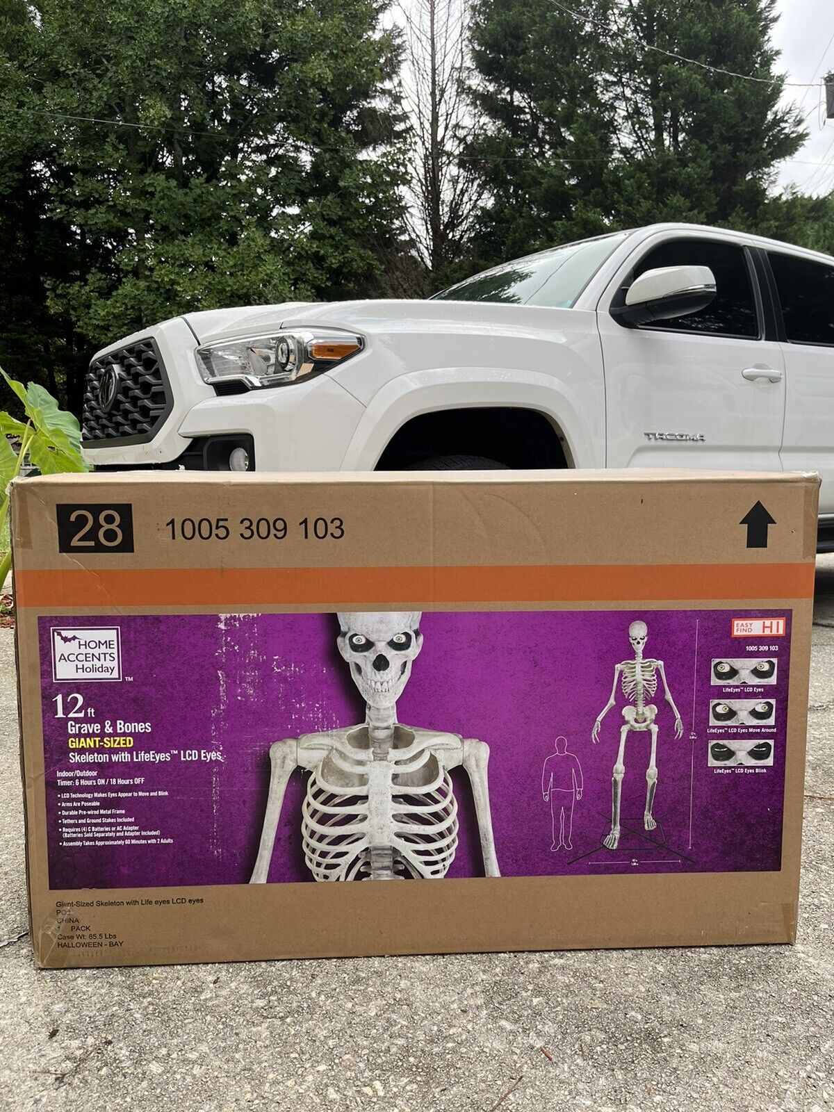 Home Accents Holiday 12 ft GiantSized Skeleton with LifeEyesTM LCD Eyes