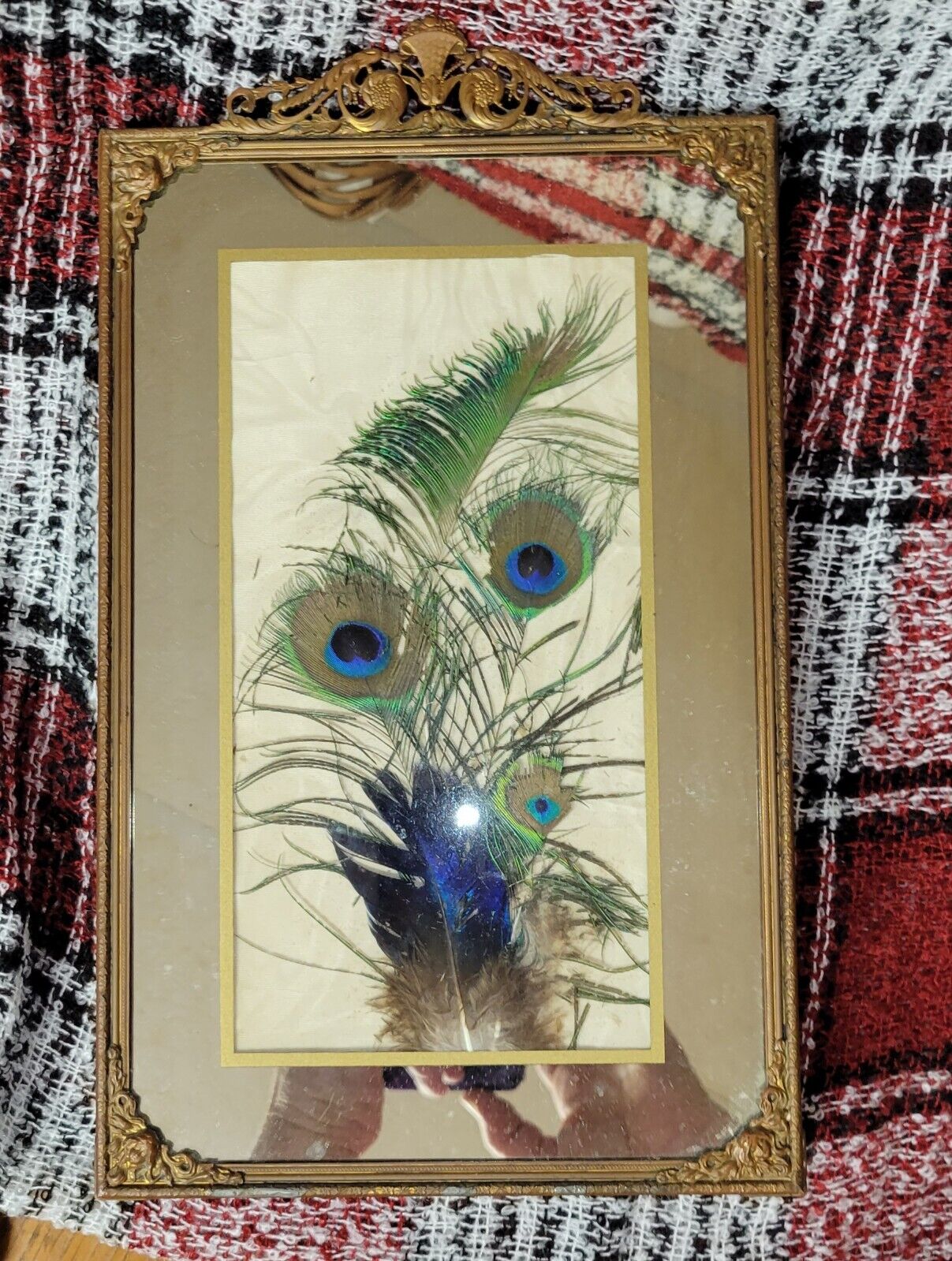 RARE Antique Craft Lace Vanity Dresser Perfume Tray Mirror peacock feathers Antique Price