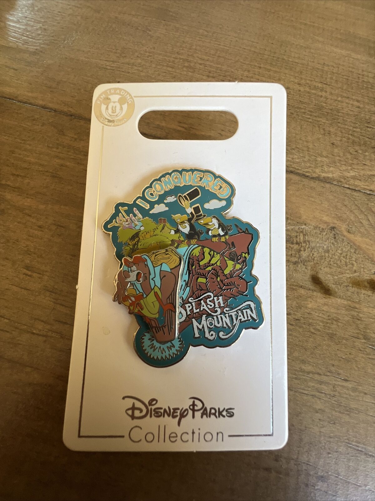 Disney Parks I Conquered Splash Mountain Attraction Slider Pin ...