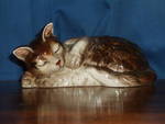 occupied japan cat figurines