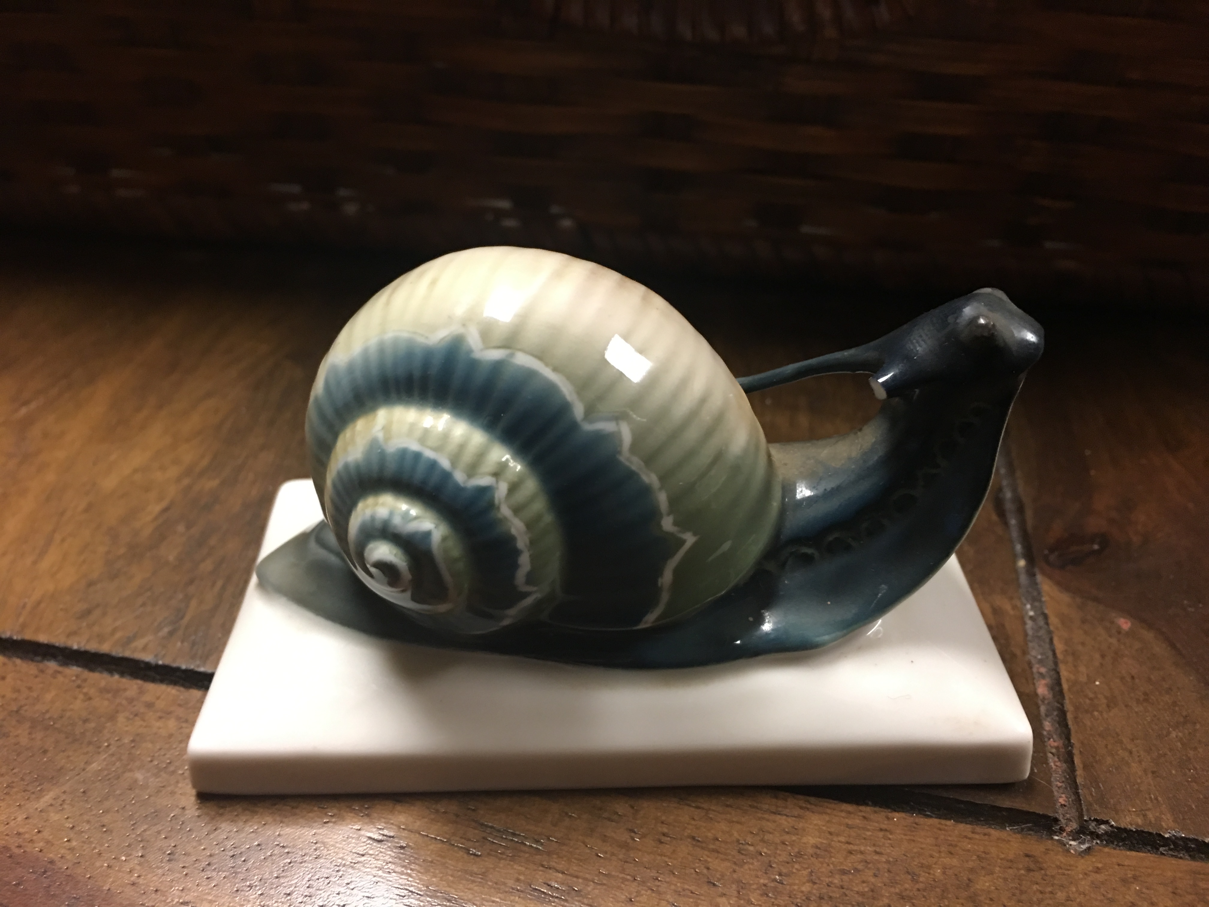porcelain snail