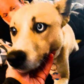 Profile picture of Scootr
